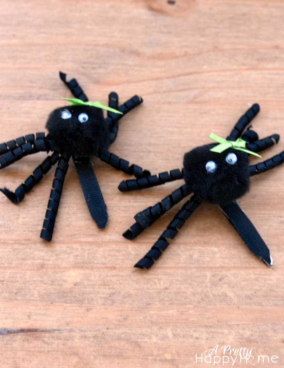 spider2