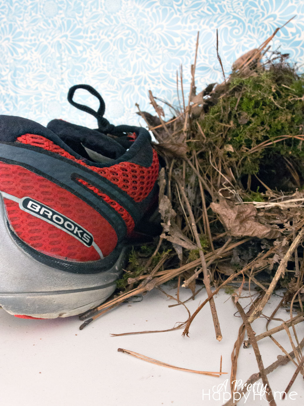Bird Nest in a Shoe birdnest1