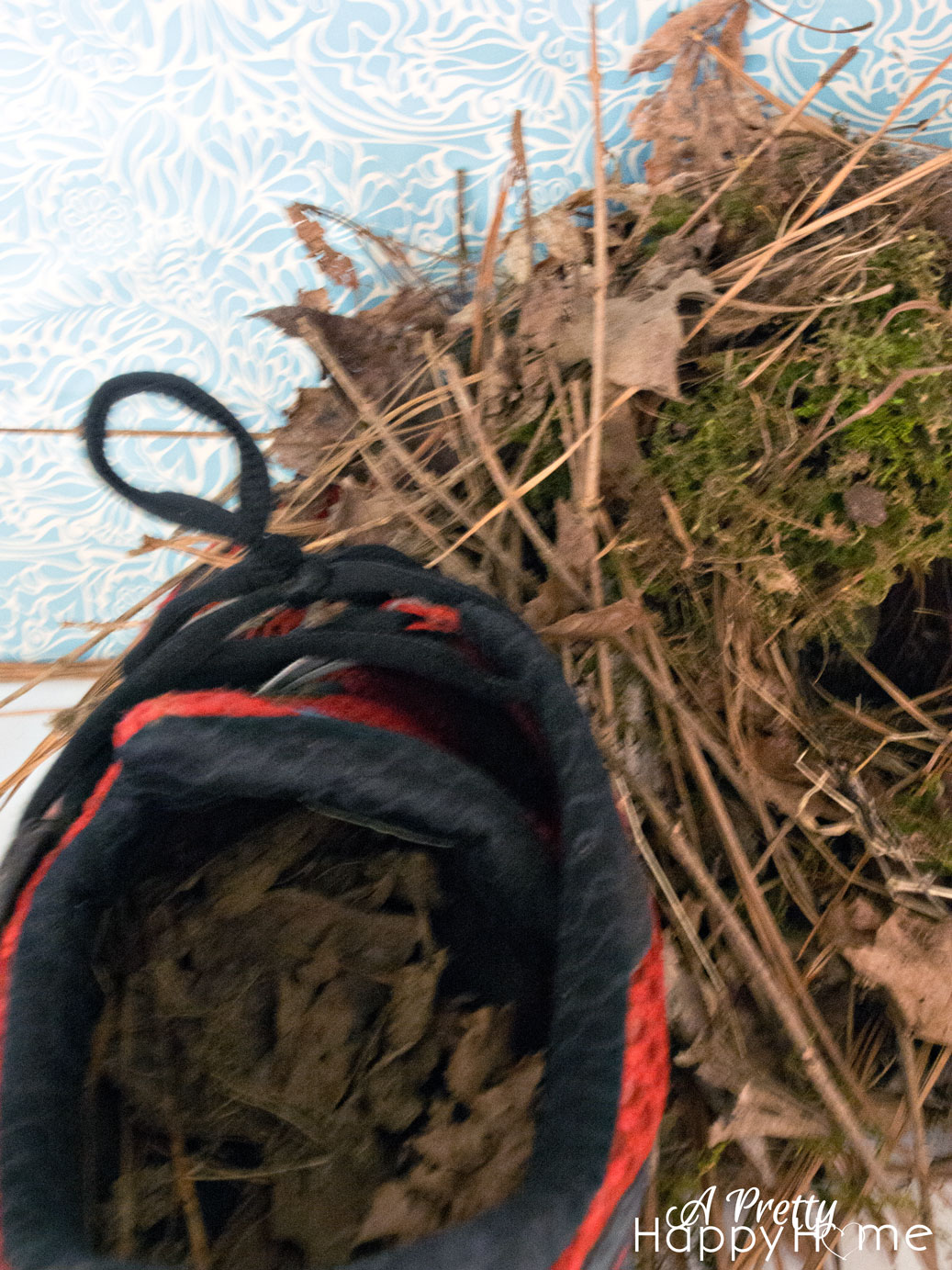 Bird Nest in a Shoe birdnest2