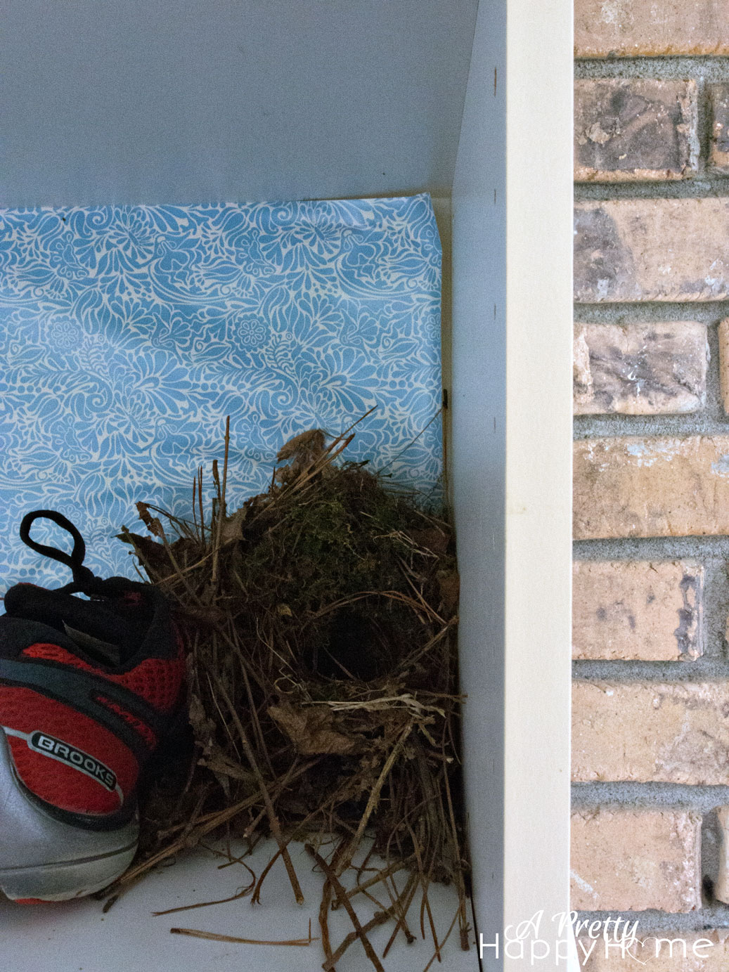 Bird Nest in a Shoe birdnest3