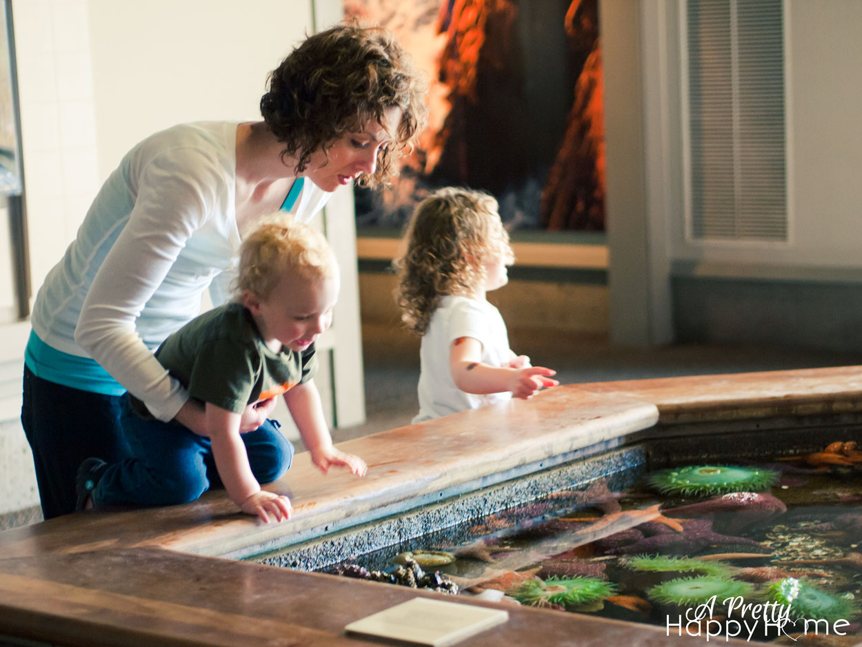 Mothering Without a Mother what it's like motherhood without a mother being a mom when your own mom is dead mom and children at aquarium