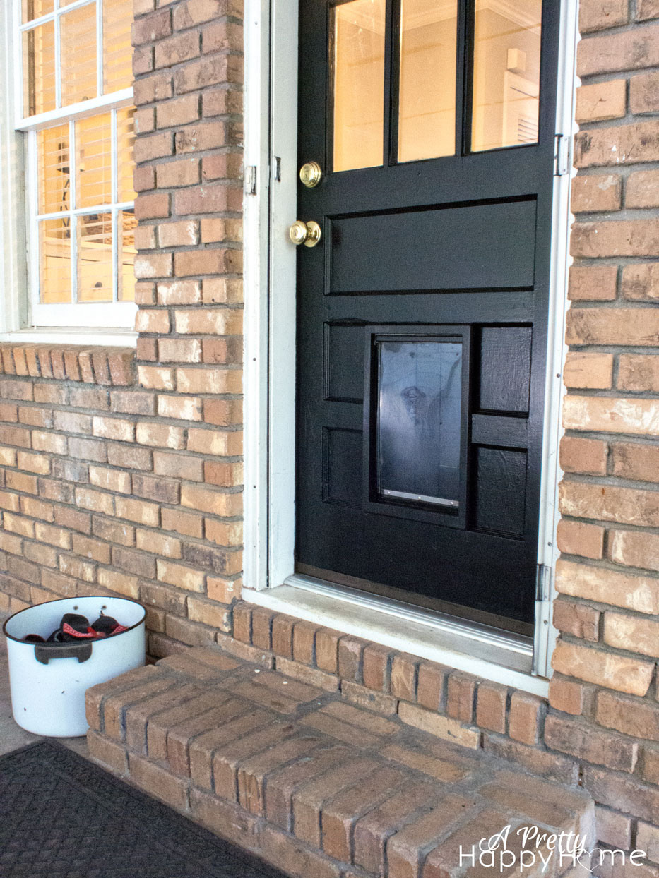 dogdoor1