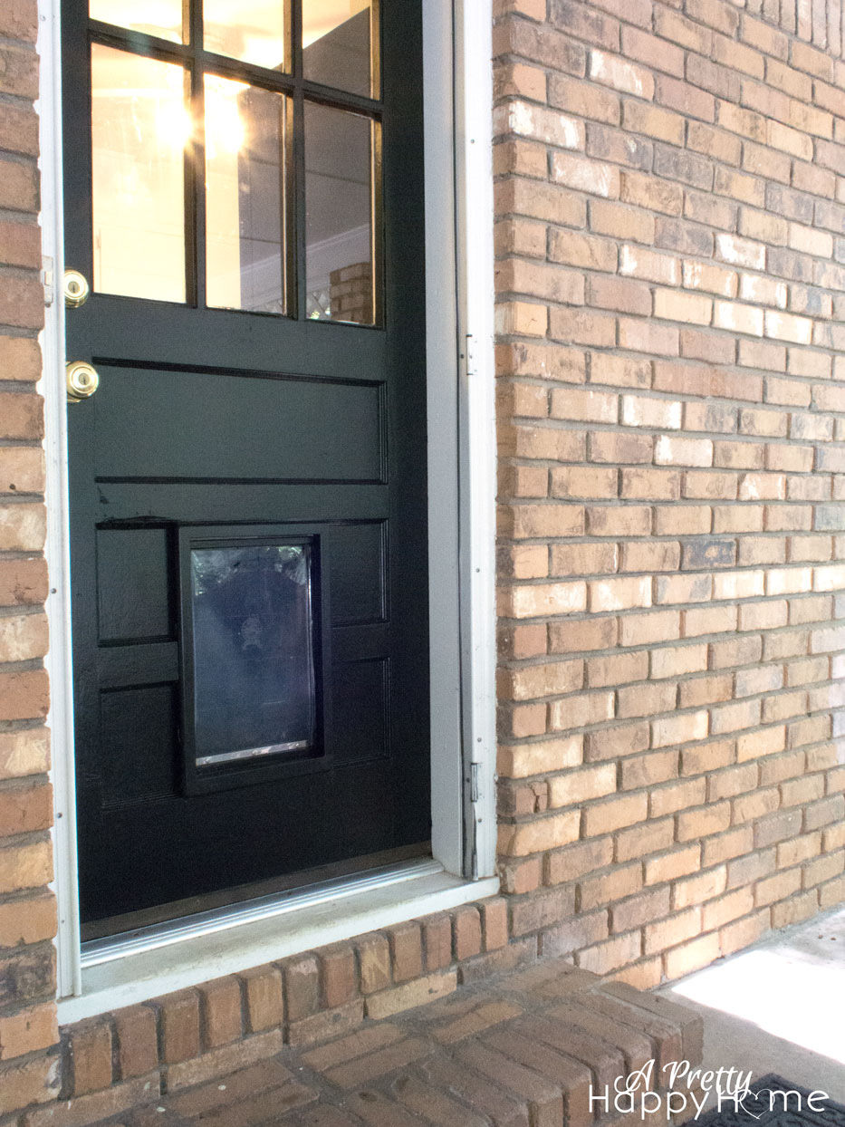 dogdoor3