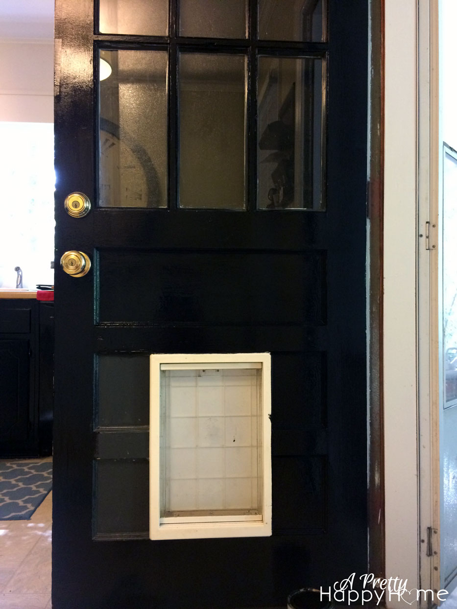 dogdoor4