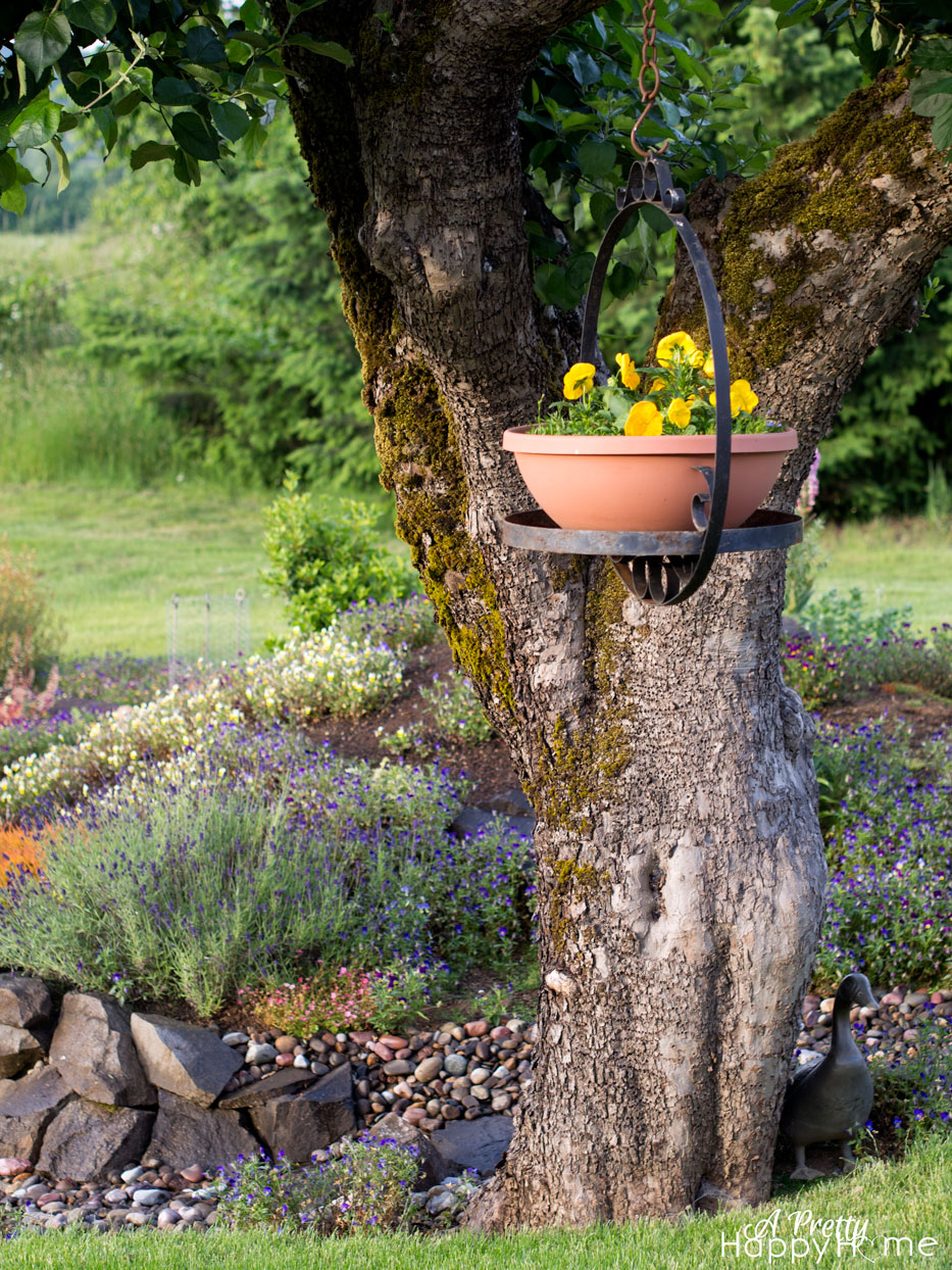 metal hanging flower basket planter-in-tree