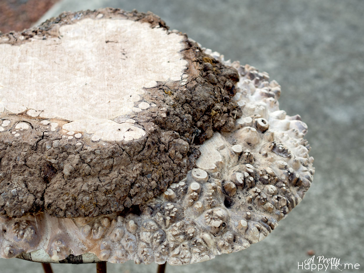 wood burl burl-wood-table-2