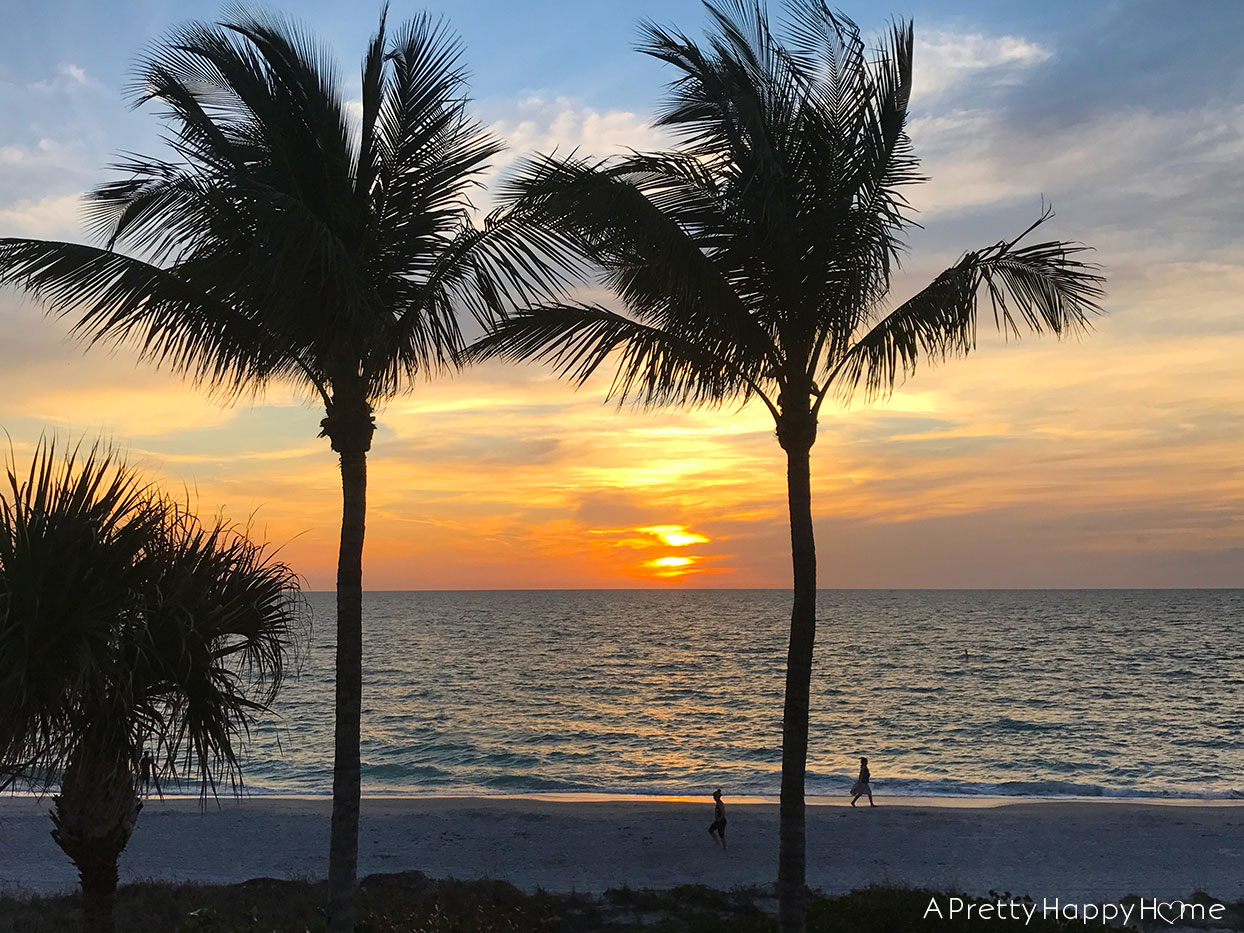 clearwater florida sunset over florida