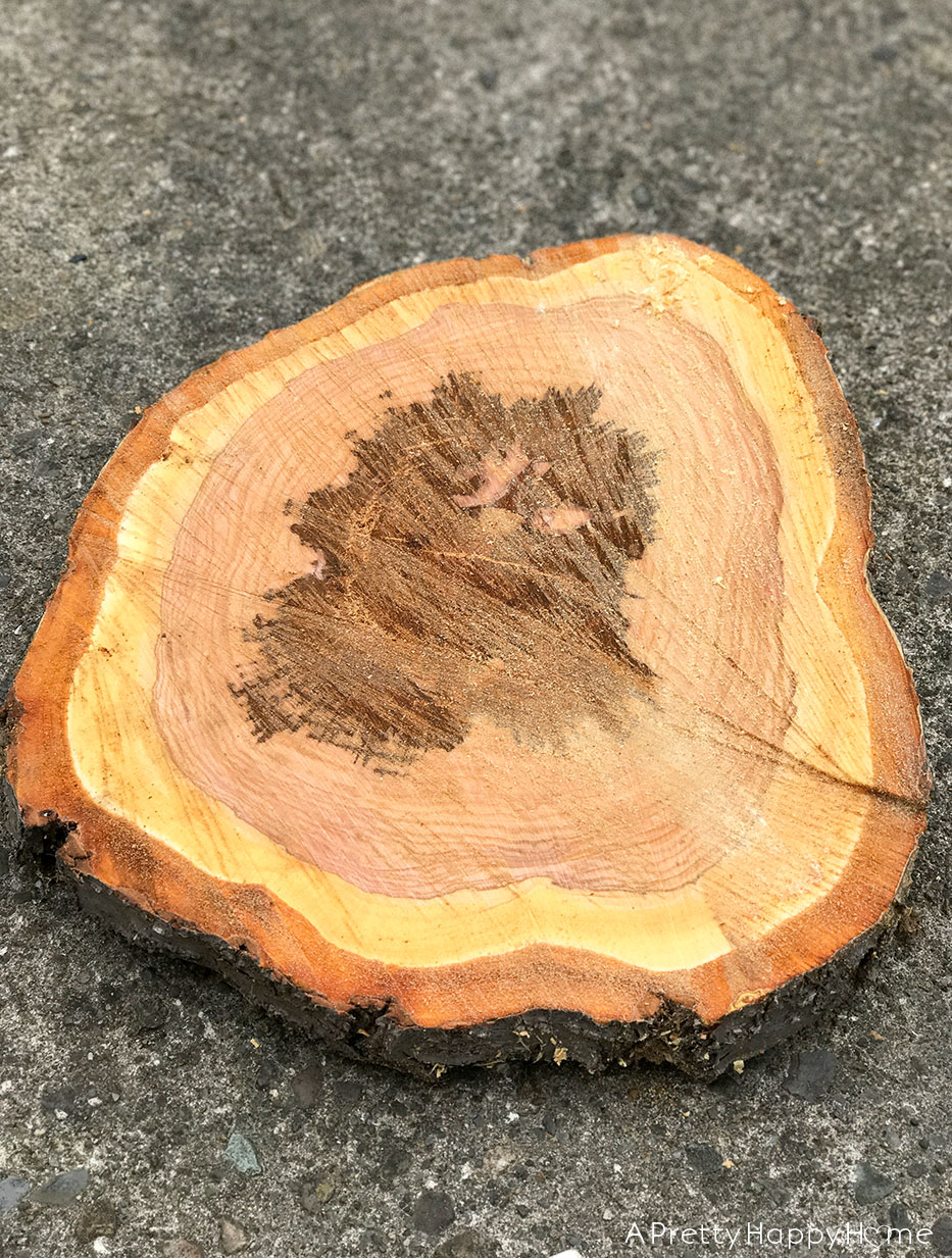 Wood slice from cherry tree in Ireland