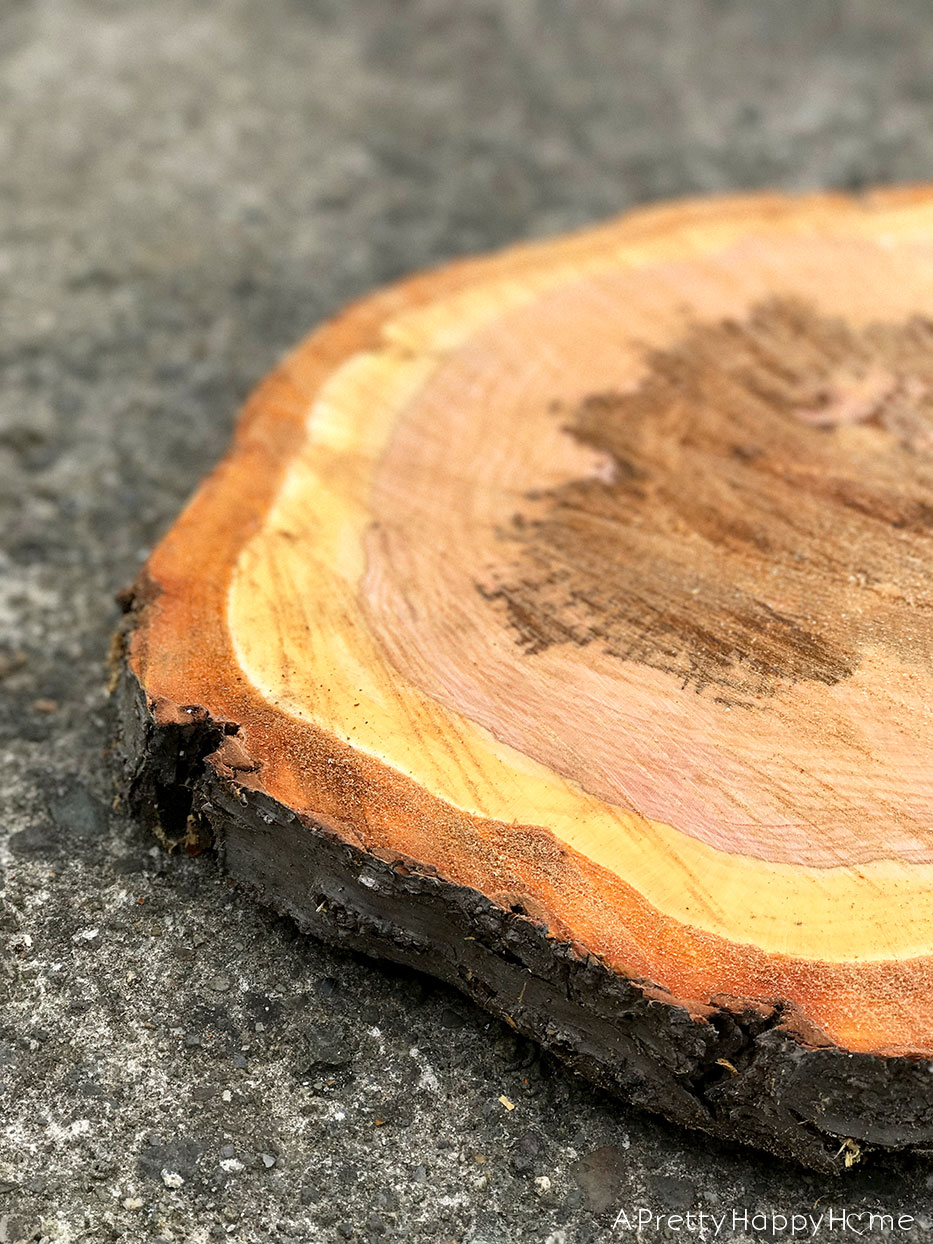 wood slice from cherry tree in Ireland