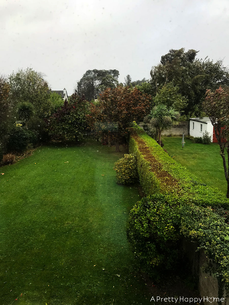 storm ophelia in south dublin