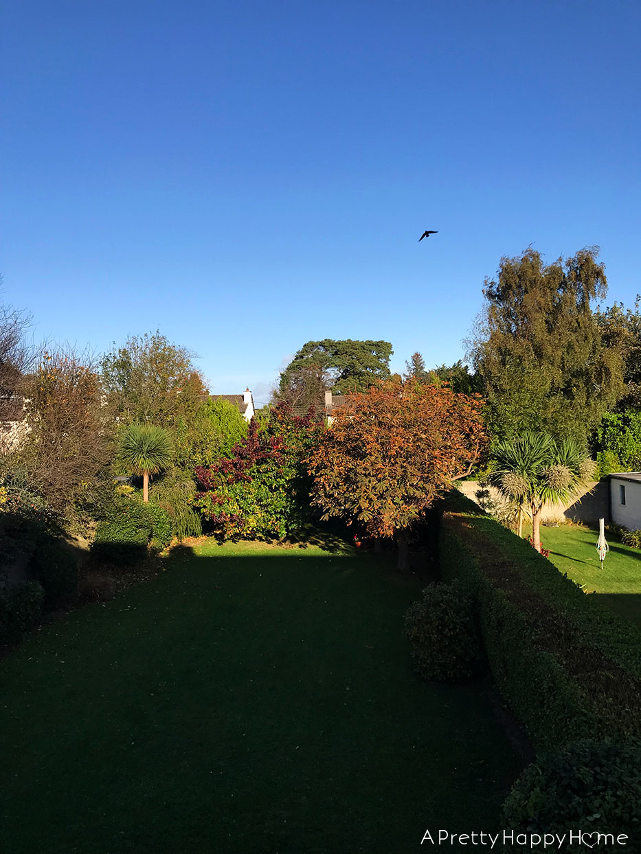 day after storm ophelia