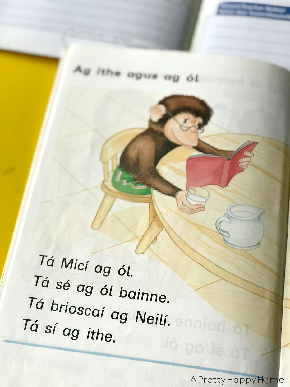 irish language book