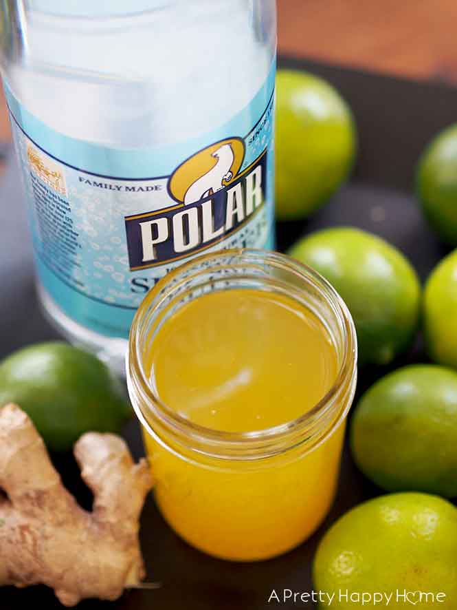 Would I Make It Again: Homemade Ginger Ale with Fresh Ginger vs. Ginger Paste