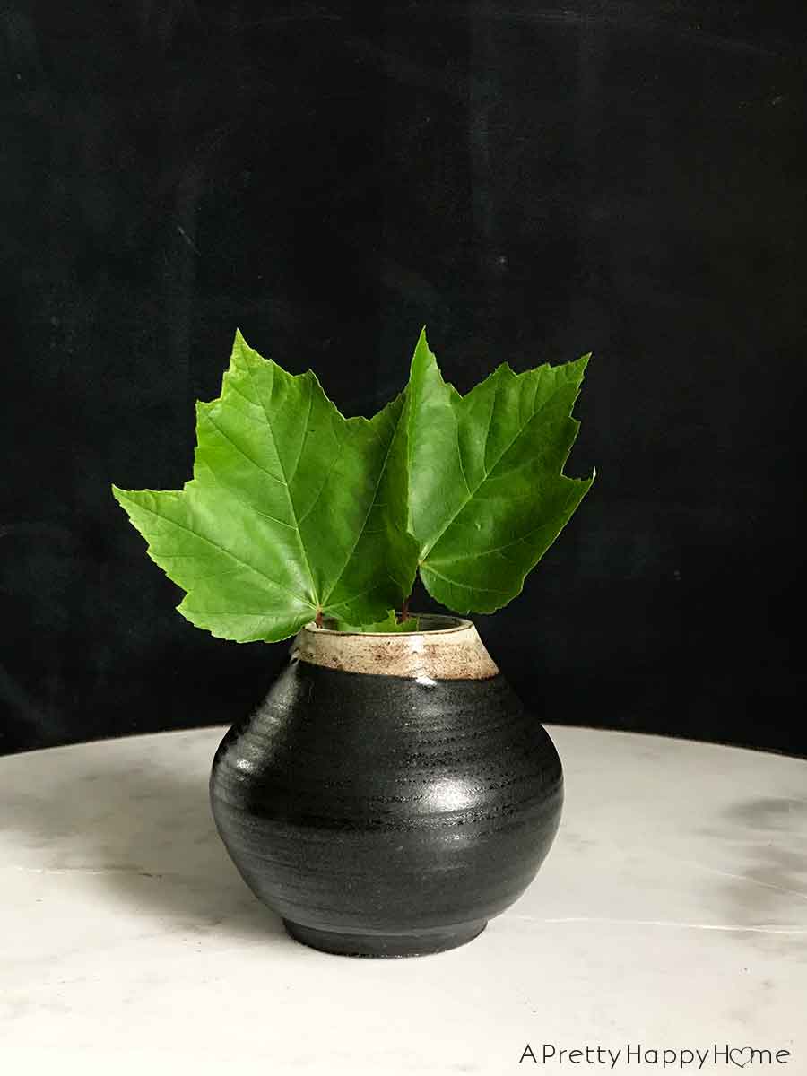 My Latest Thrift Store Finds bud vase
