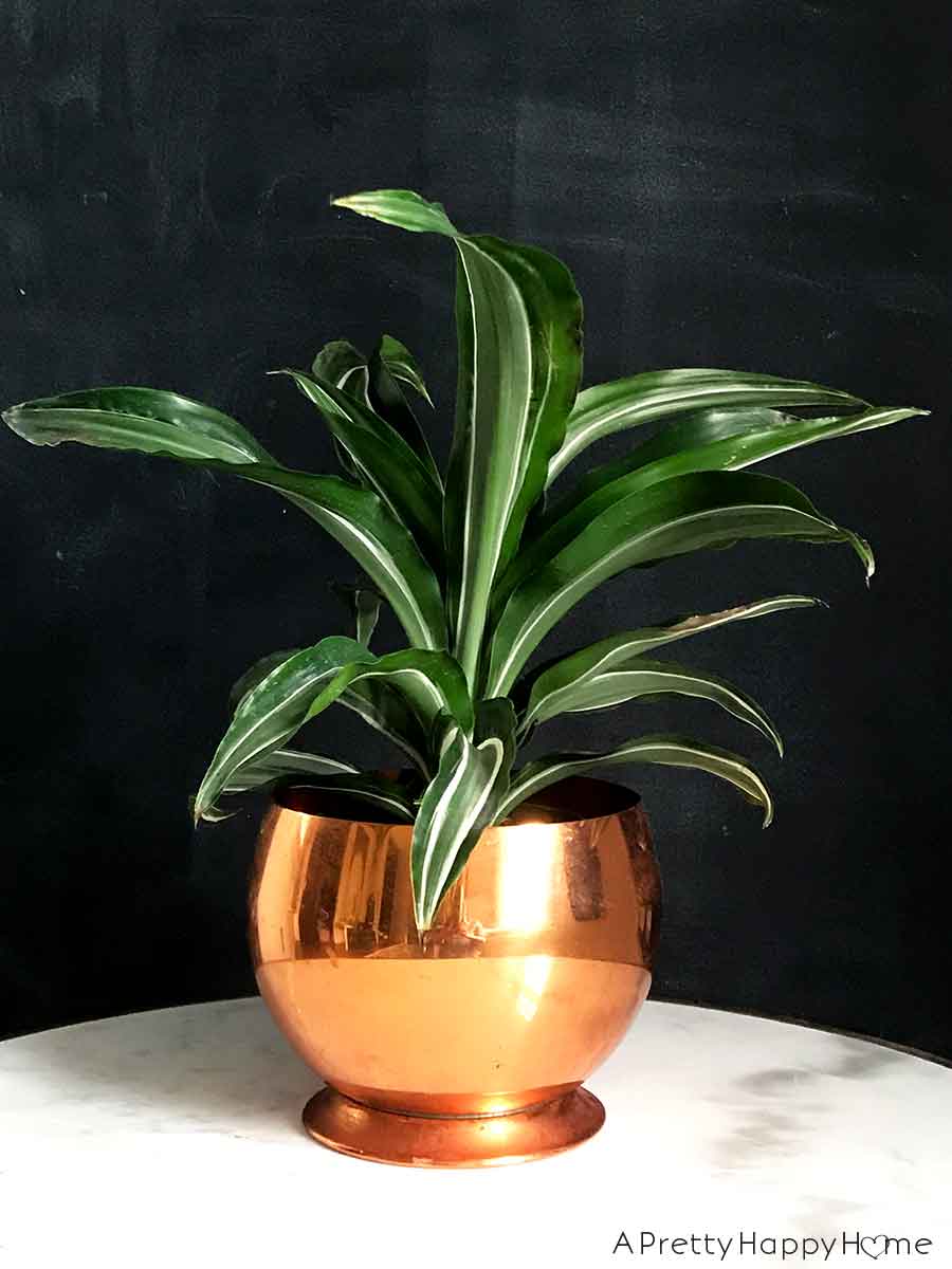 My Latest Thrift Store Finds copper bowl