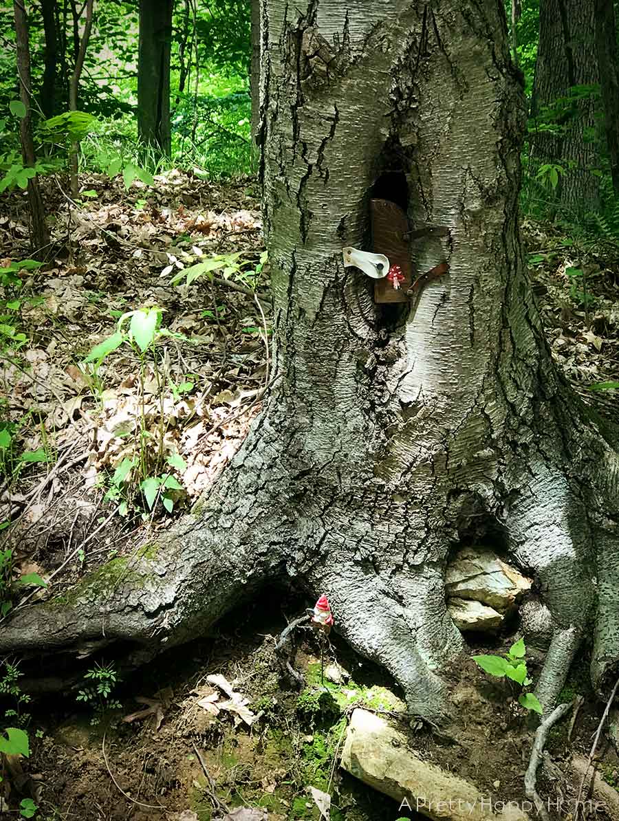 gnome houses on a bike trail hunterdon county nj