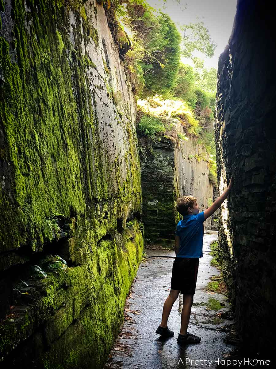 Travel Opus 40