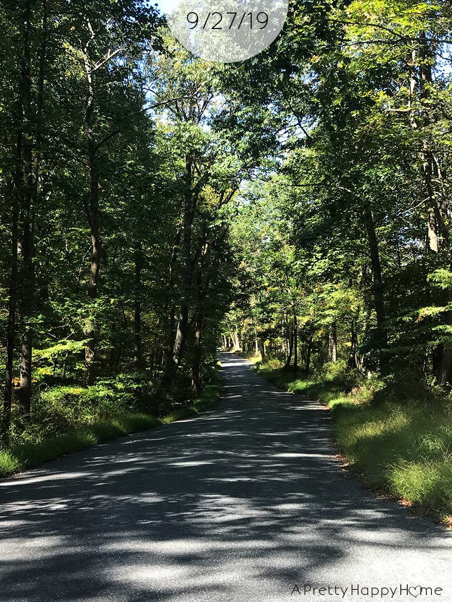 fall colors in new jersey september 27 2019