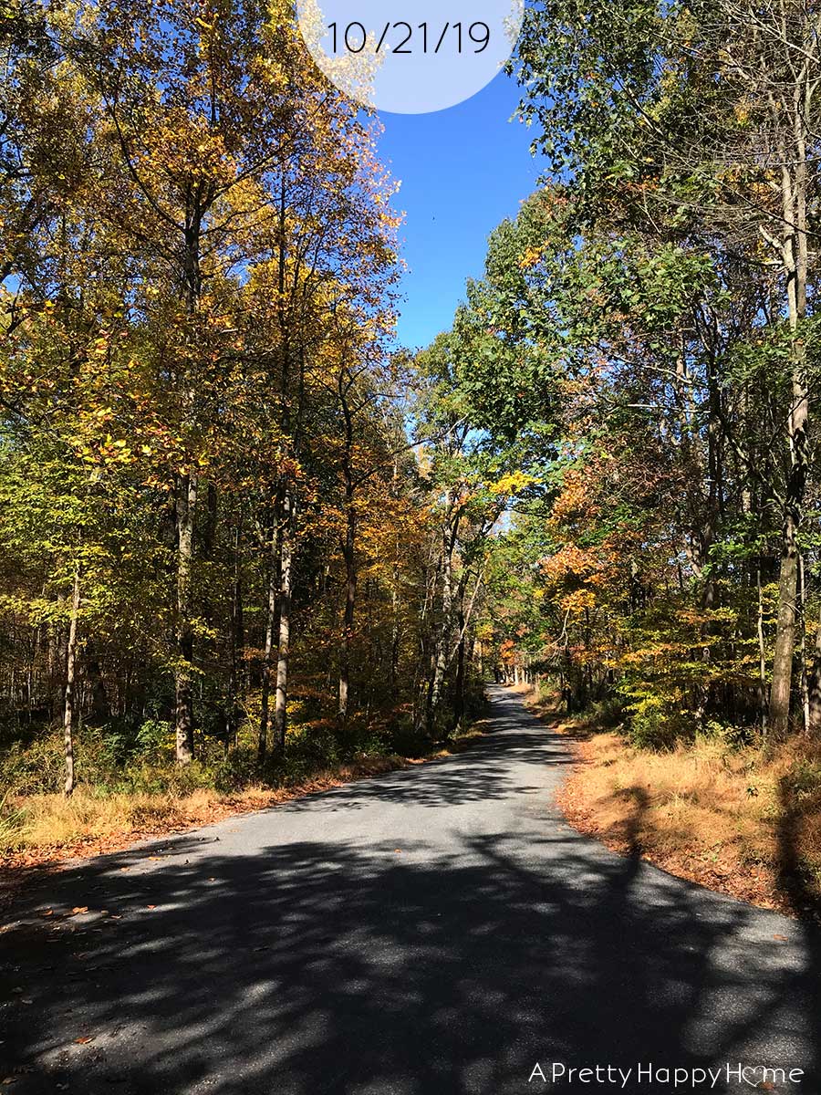fall colors in new jersey october 21 2019