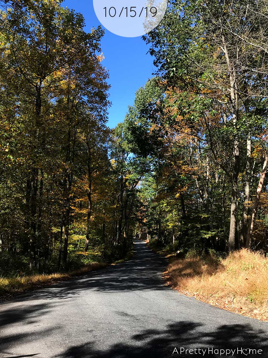 fall colors in new jersey october 15 2019