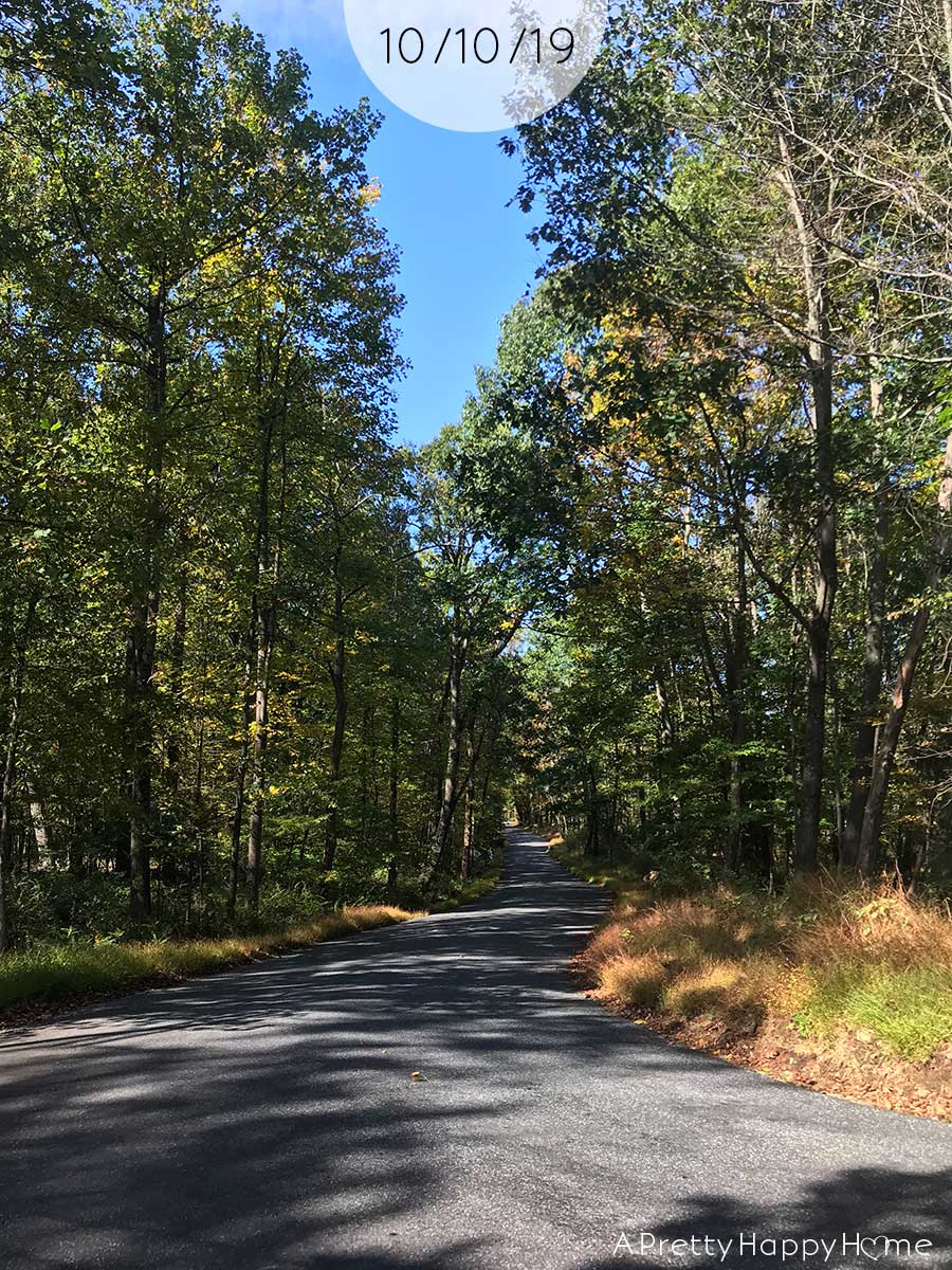 fall colors in new jersey october 10 2019