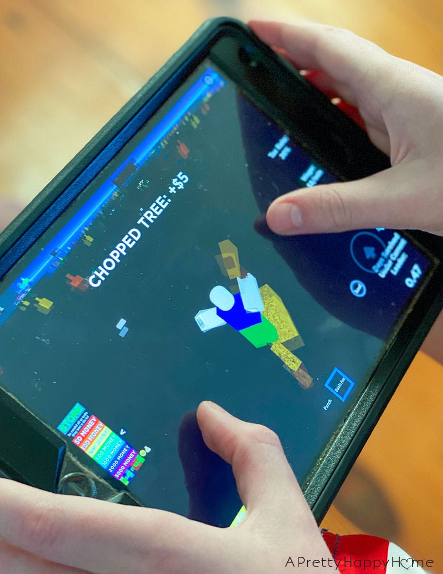 online game budget form for kids minecraft screen