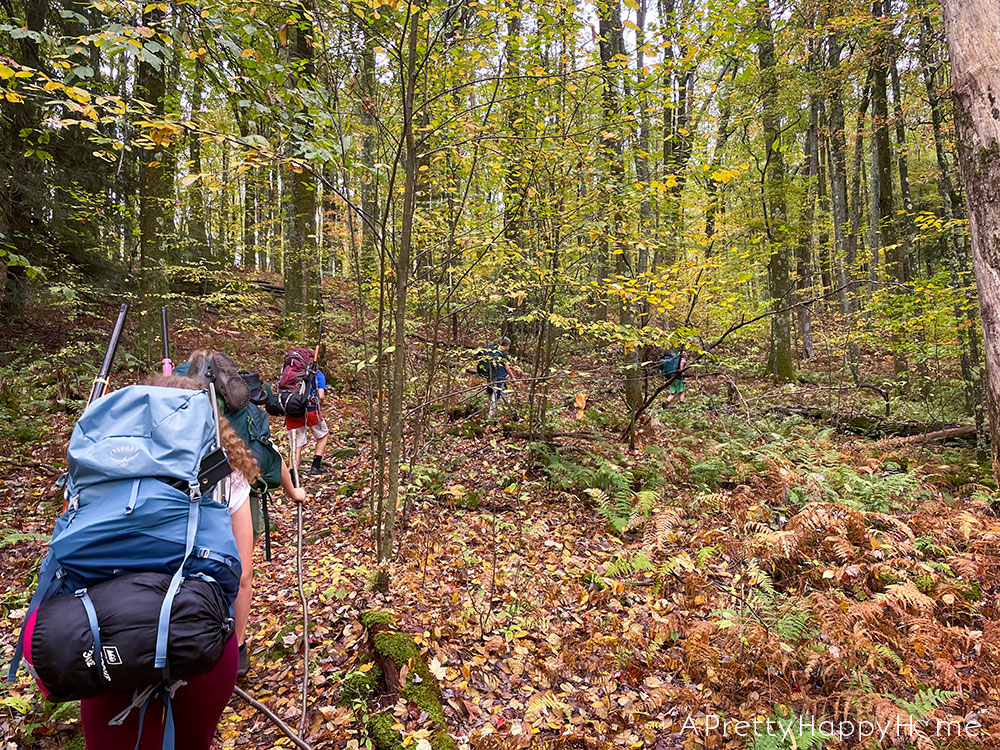 camping gear 2021 Holiday Gift Guide for Tweens and Teens