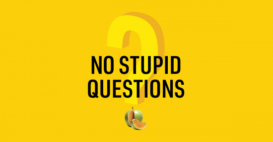 podcasts worth your time No Stupid Questions