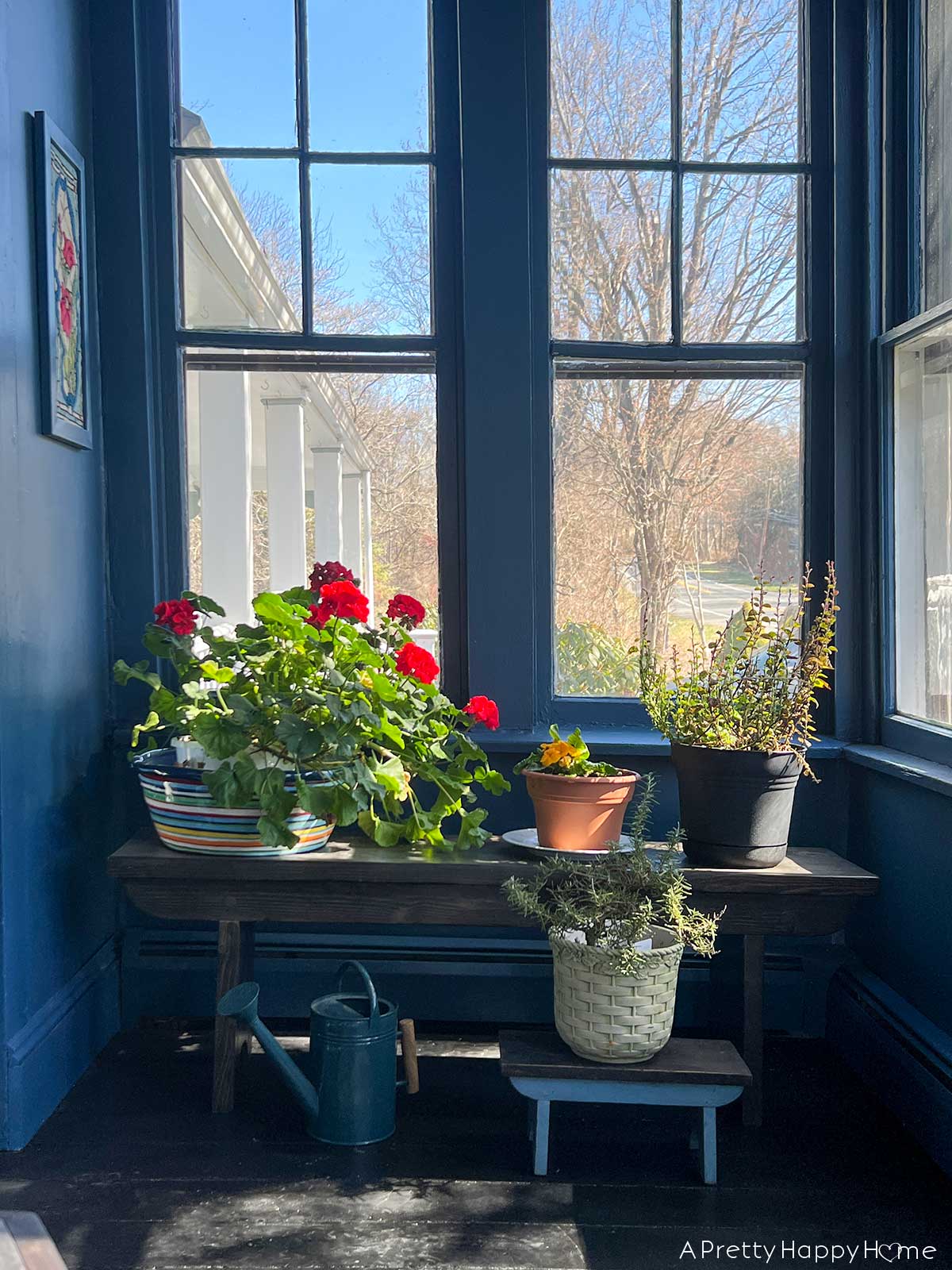 porch plants survived the winter how to make porch plants survive winter indoors navy blue sunporch with plants