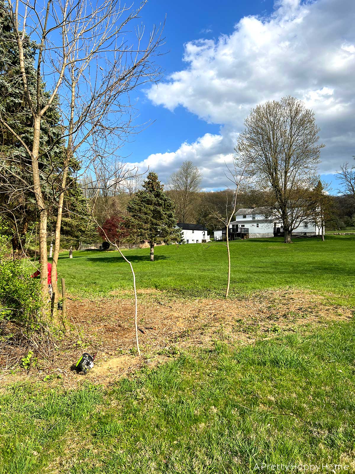 3 Reasons We're Clearing Brush On Our Property