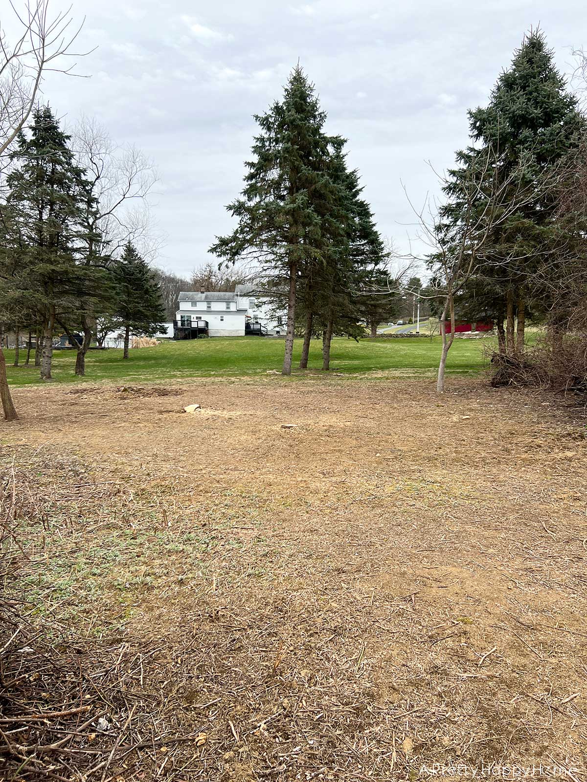 3 Reasons We're Clearing Brush On Our Property