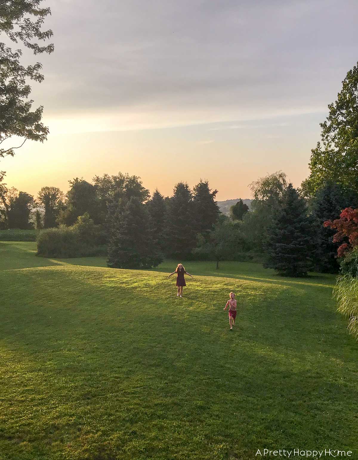 3 Reasons We're Clearing Brush On Our Property