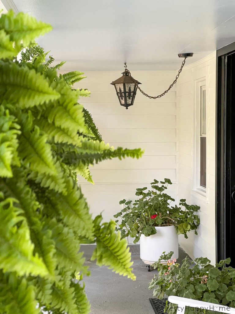 paint blue porch ceiling