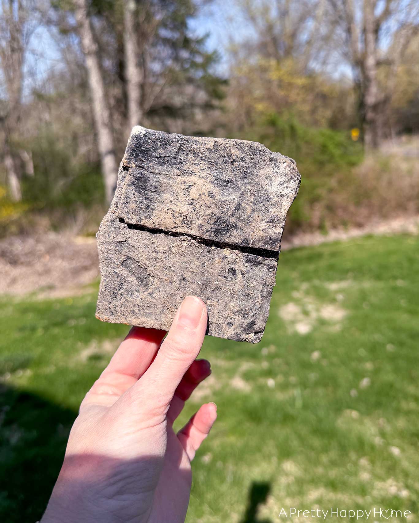 buried treasure finding coal in our backyard from victorian era heating systems