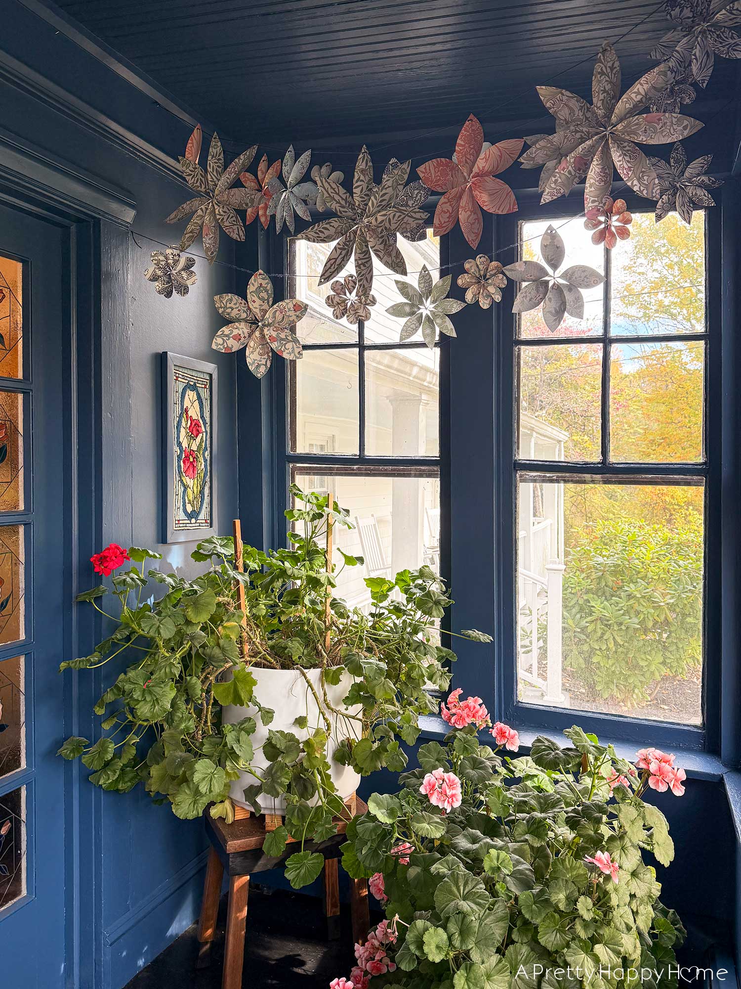 navy blue sunporch overwintering plants including geraniums ferns and petunias