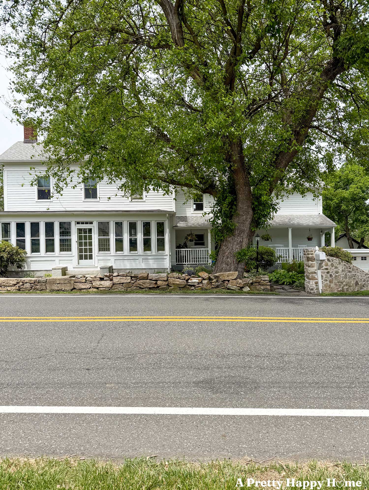 elm tree growing in front of a white farmhouse from the 1780s. In front of the farmhouse is a low stone wall and then a paved road in the foreground