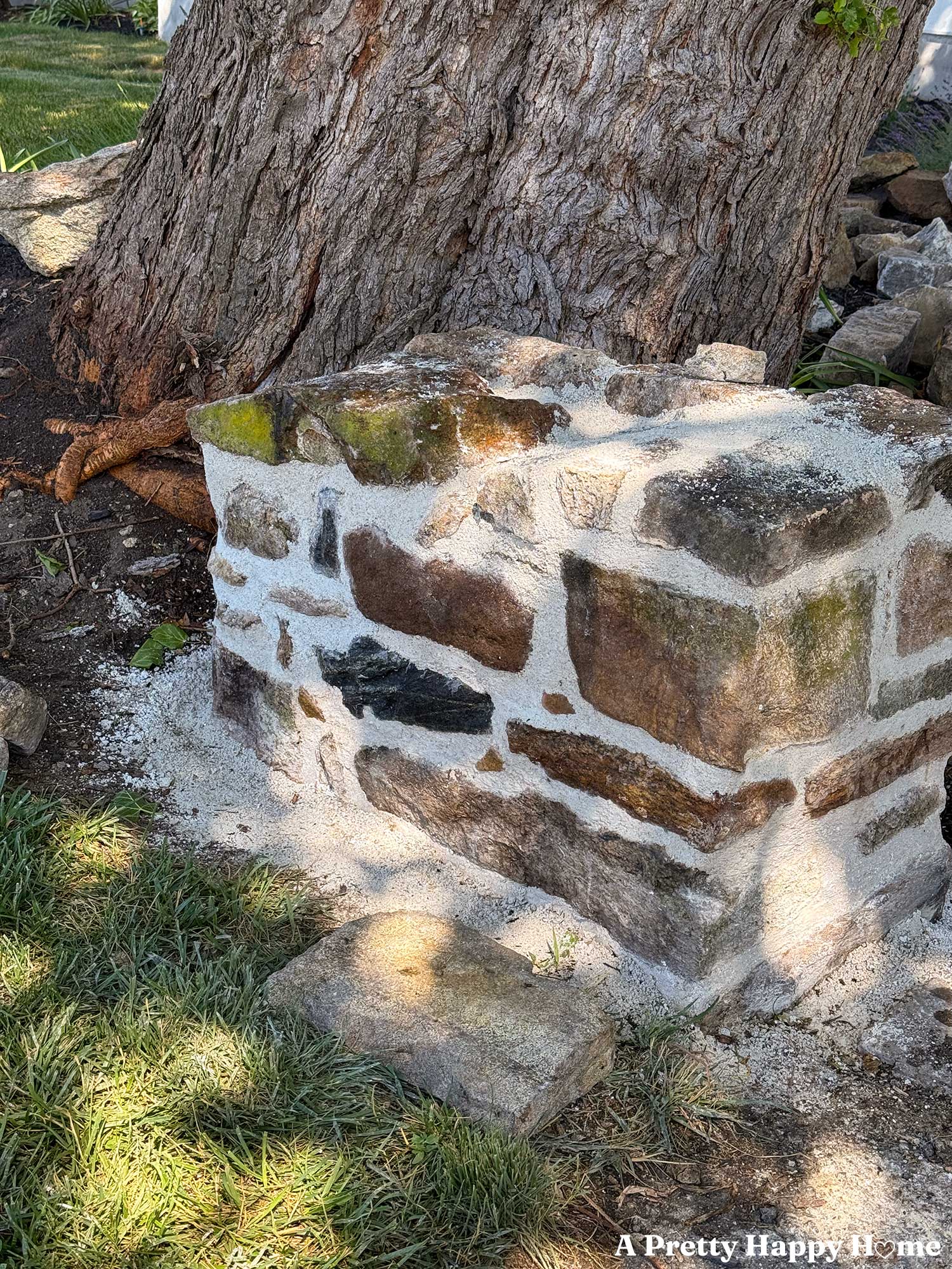 Fieldstone wall phase two, rustic stonework beside a large tree trunk.